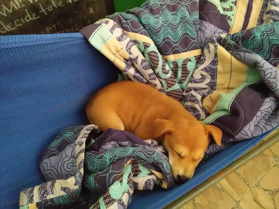 Lucky Bee Homestay Ντα Νανγκ Εξωτερικό φωτογραφία